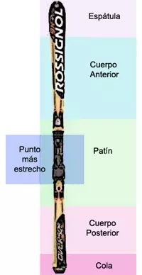 Partes de la tabla de esquí